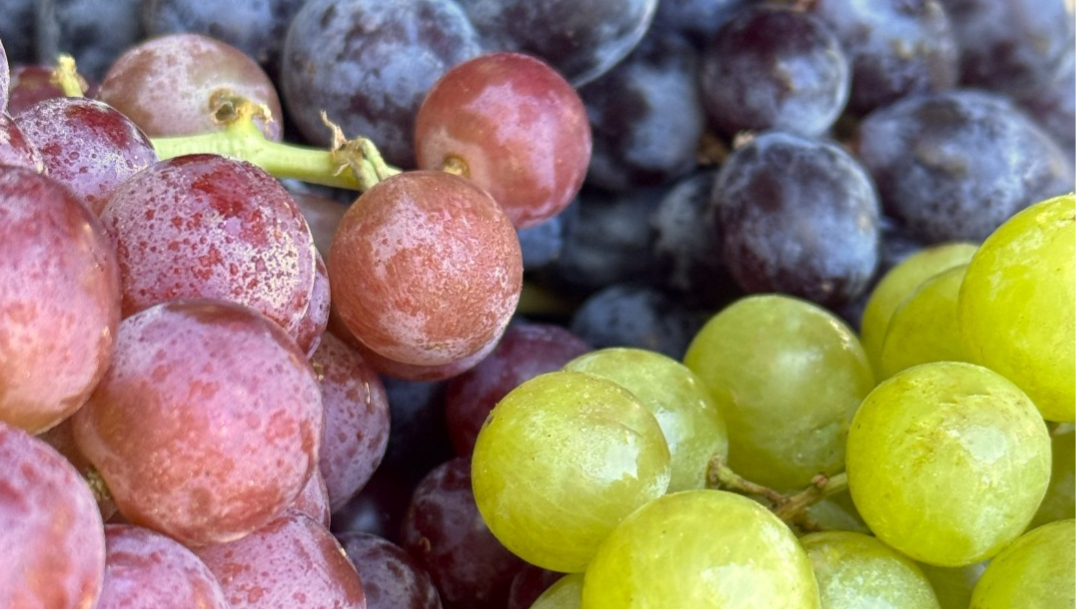 Organic Grape Sampler - PINT