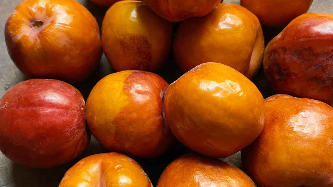 Organic Jujube - 1/2 PINT