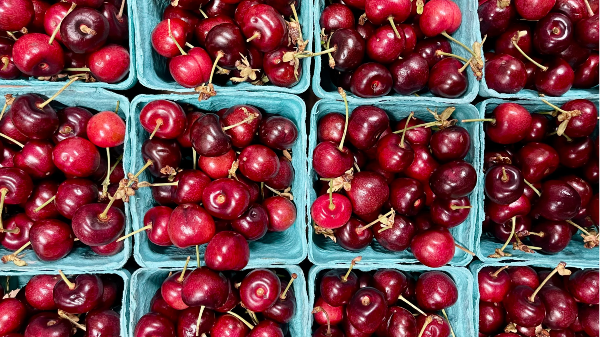 Organic Chelan Cherries - PINT