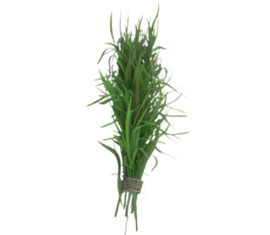 Organic Tarragon - BUNCH