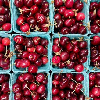 Organic Lapin Cherries - PINT