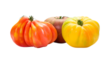 Organic Heirloom Tomatoes - PER LB