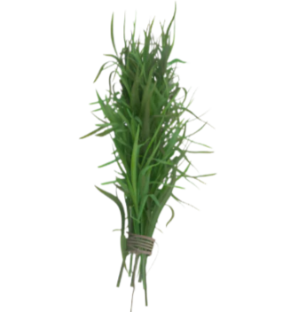 Organic Tarragon - BUNCH