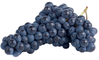 Organic Thomcord Grapes - QUART