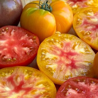 Organic Heirloom Tomatoes - PER LB