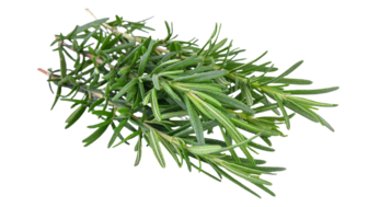 Organic Rosemary - BUNCH
