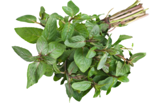 Organic Mint - 3 OZ BIN