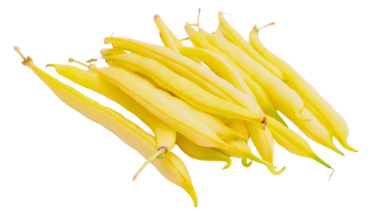 Organic Yellow Wax Beans - PER LB