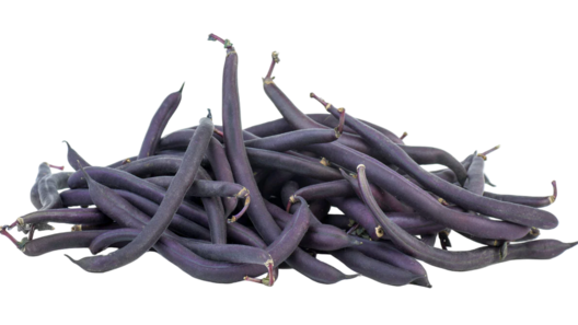 Organic Purple Beans - PINT