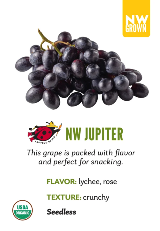 Organic Jupiter Grapes - TOTE