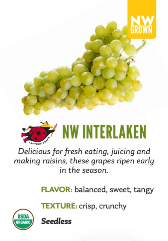 Organic Interlaken Grapes - 1.5 LB BIN
