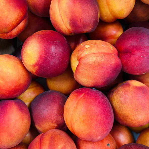 Organic Yellow Nectarine - EACH
