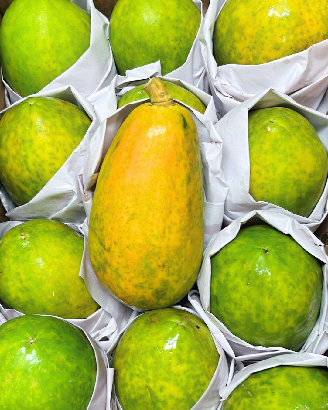 Organic Intenza Papaya - EACH