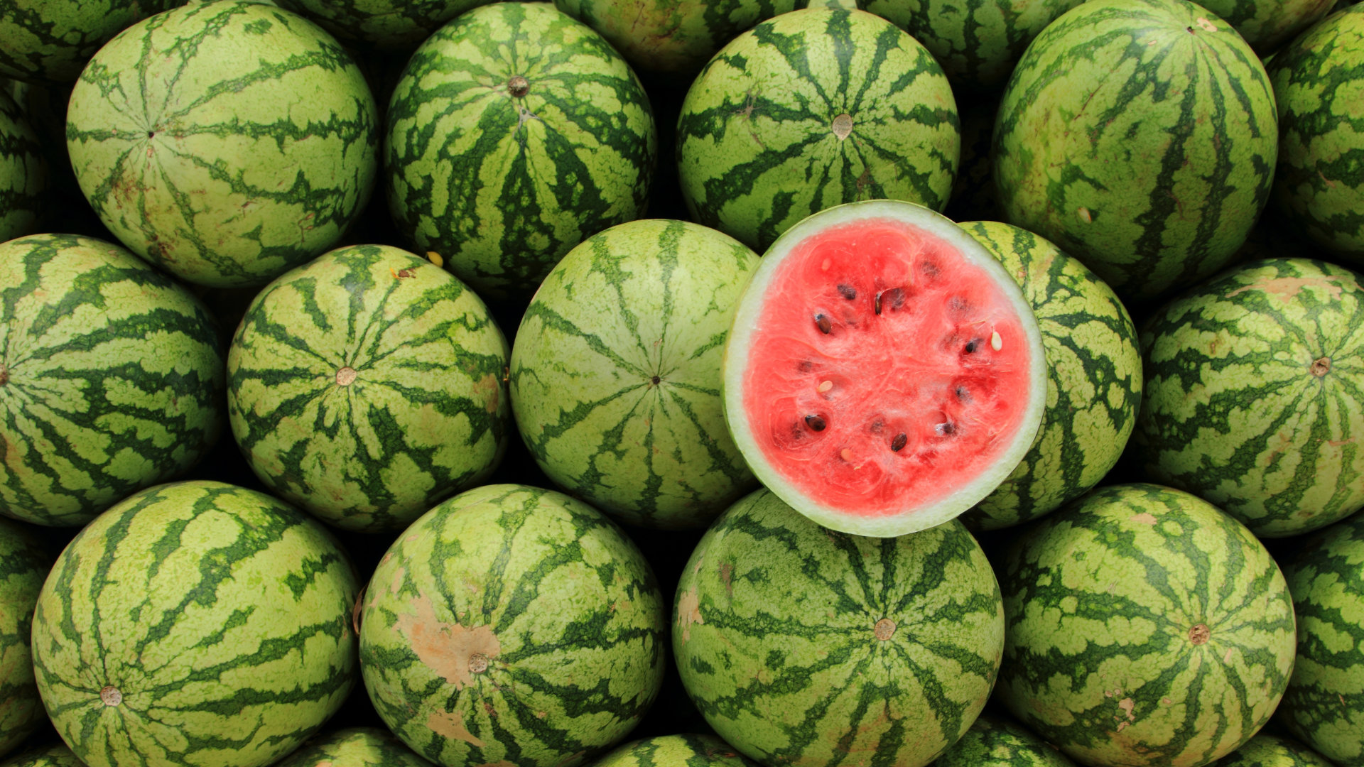 Organic Mini Watermelon - EACH