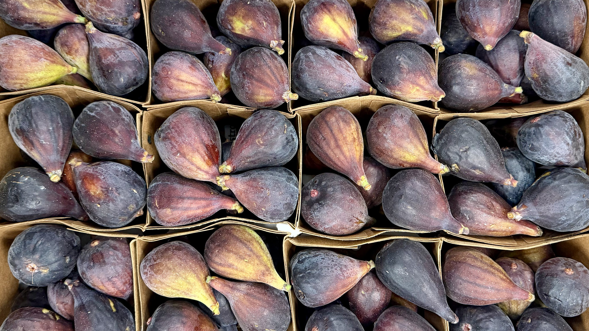 Organic Black Mission Figs - PINT