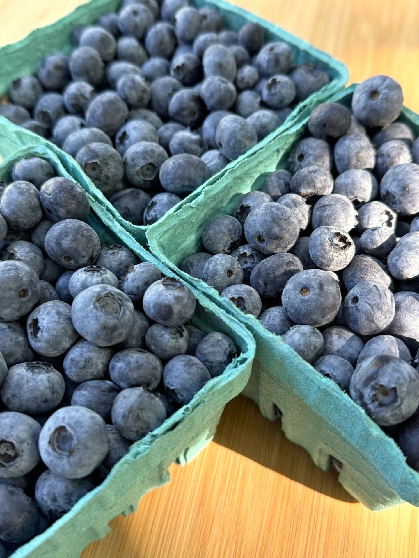 Organic Blueberries - PINT