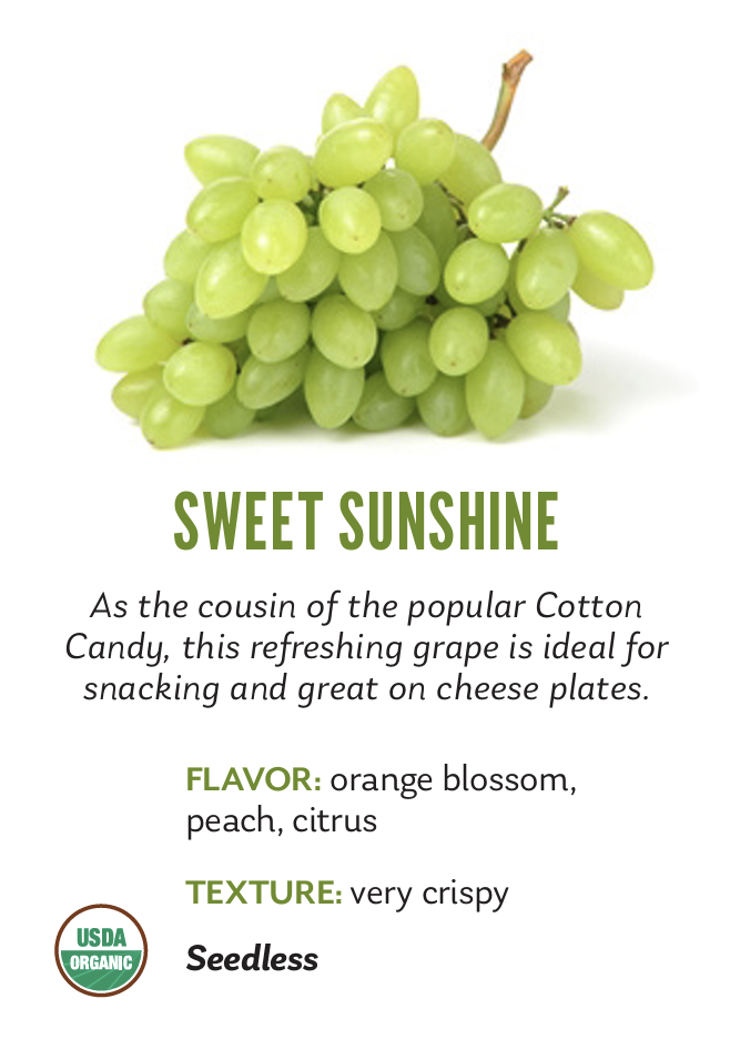 Organic Sweet Sunshine Grapes - Tote