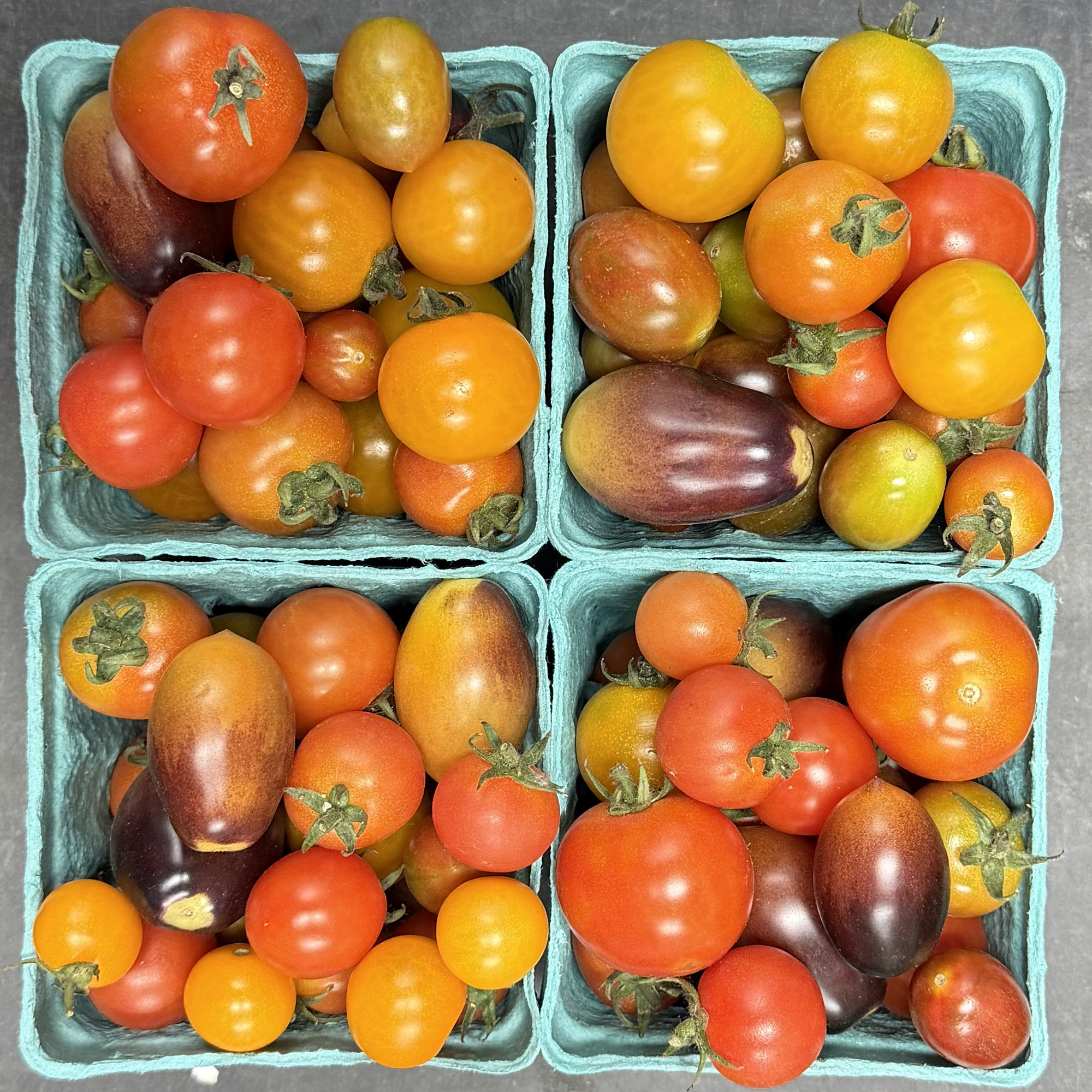 Organic Cherry Tomatoes - PINT