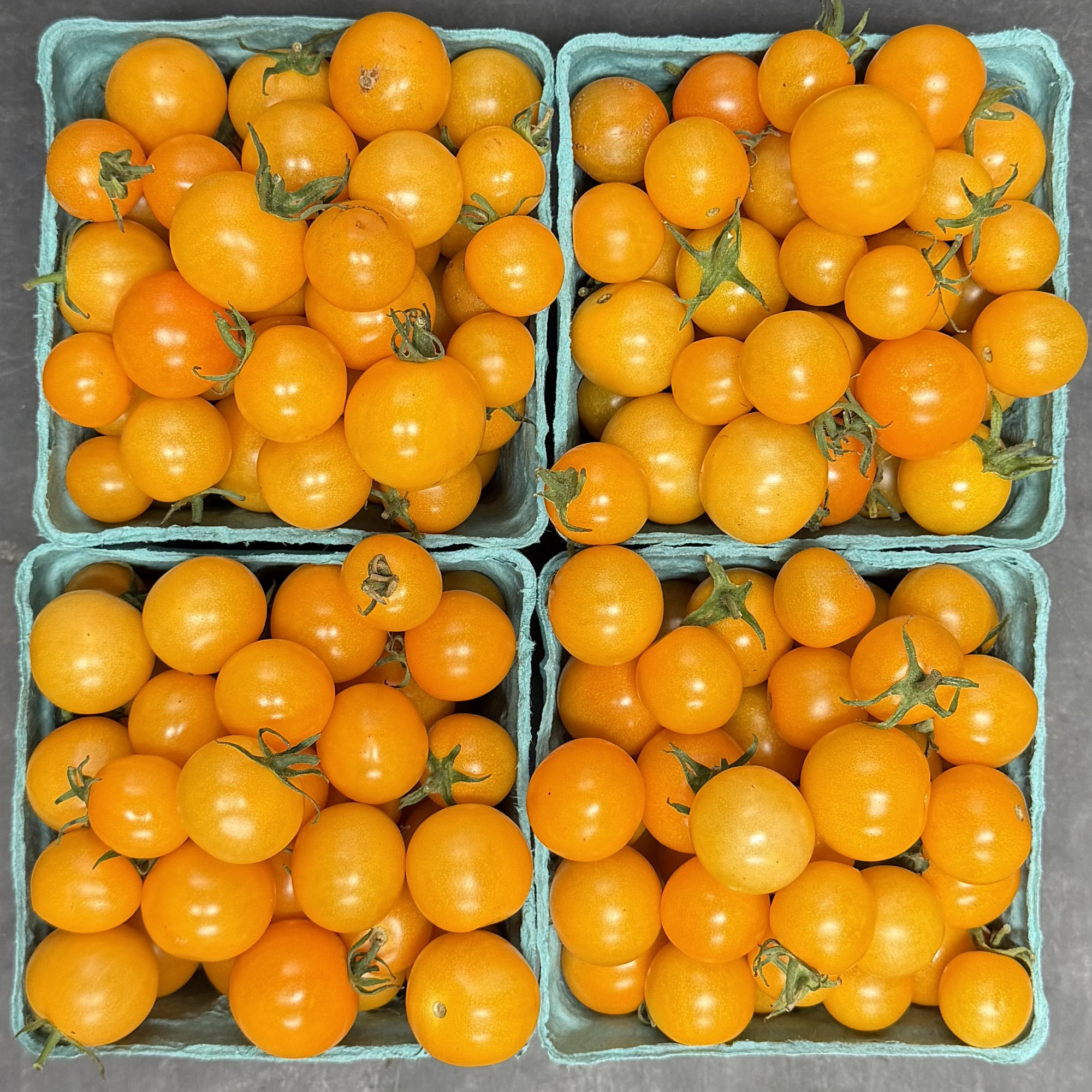Organic Sungold Cherry Tomatoes - PINT