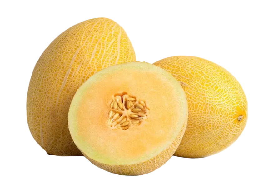 Organic Hami Melon - EACH