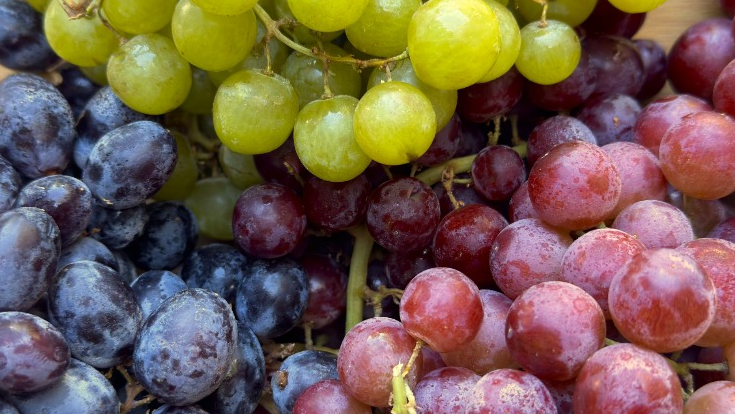 Organic Thomcord Grapes -  1.5 LB TOTE